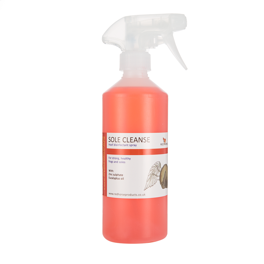 Red-Horse-Sole-Cleanse_18a41cd4-7c60-4cdf-a0aa-34138a943a50.png