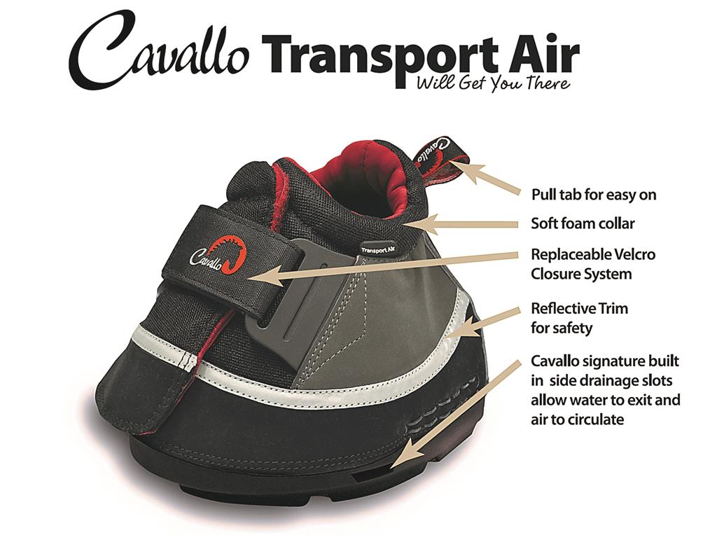 Cavallo-Transport-Air.jpg