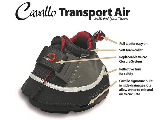 Cavallo-Transport-Air.jpg